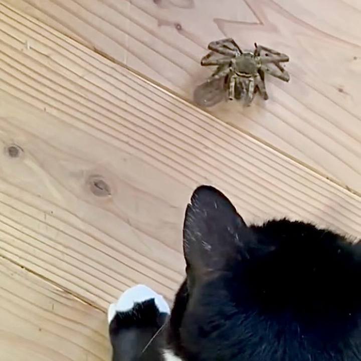 2eeb31db 6e7d 4e16 8547 cc8fa67da8ac 1752975776270