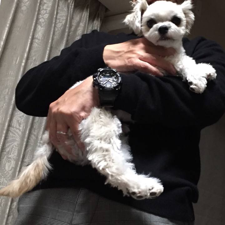 2eeb3de3 e2db 4bdd b754 eae1ae7e5f0e 1517525465981