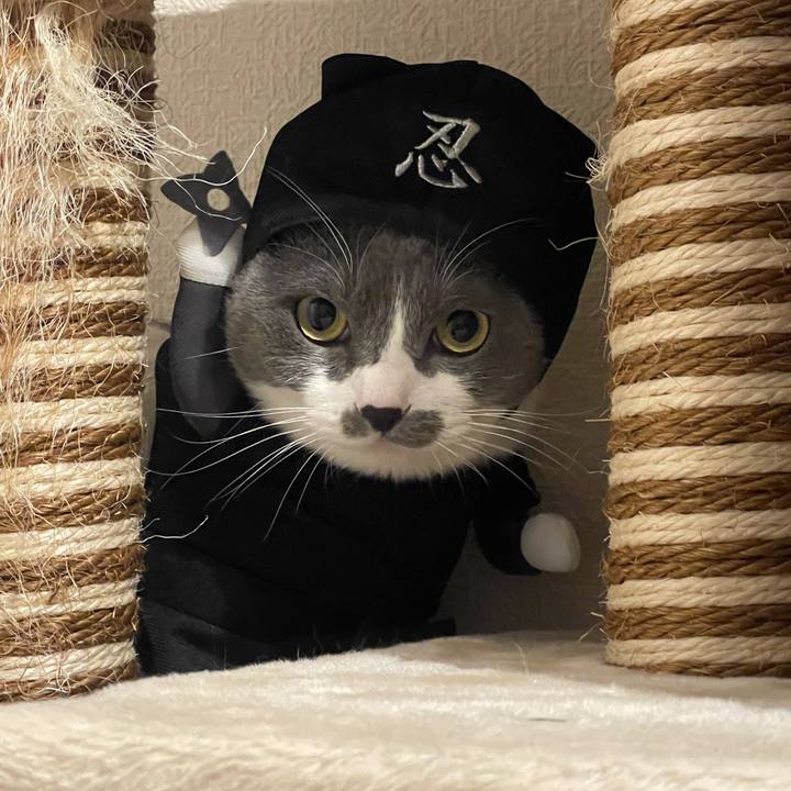 2eeb42d1 3196 4e5b 8cf4 c00127ef2139 1698739422637