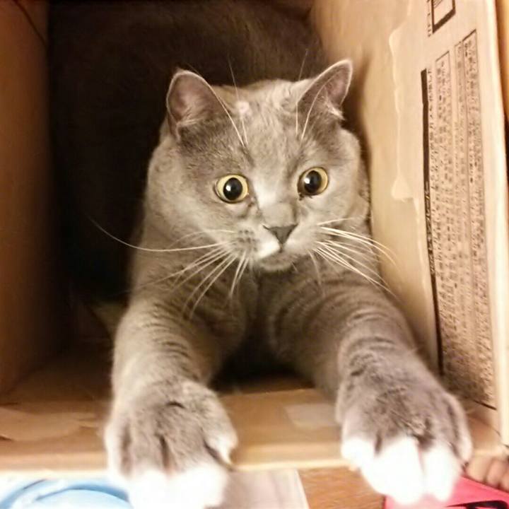 2eeb4884 0407 4c70 af43 6a2b9a759982 1581207225429