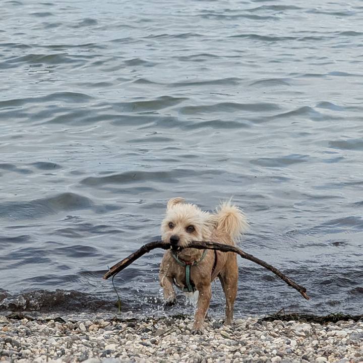 2eeb4d2e 3d4d 485d 9e1c c1b29268a227 1756068031804