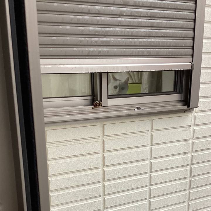 2eeb5acd 2e70 4590 8688 3588a4e1405f 1755500659828