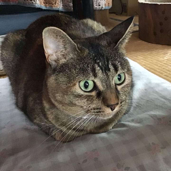 2eeb70c6 8f83 4cea 874f 58b391e257f8 1725246855761