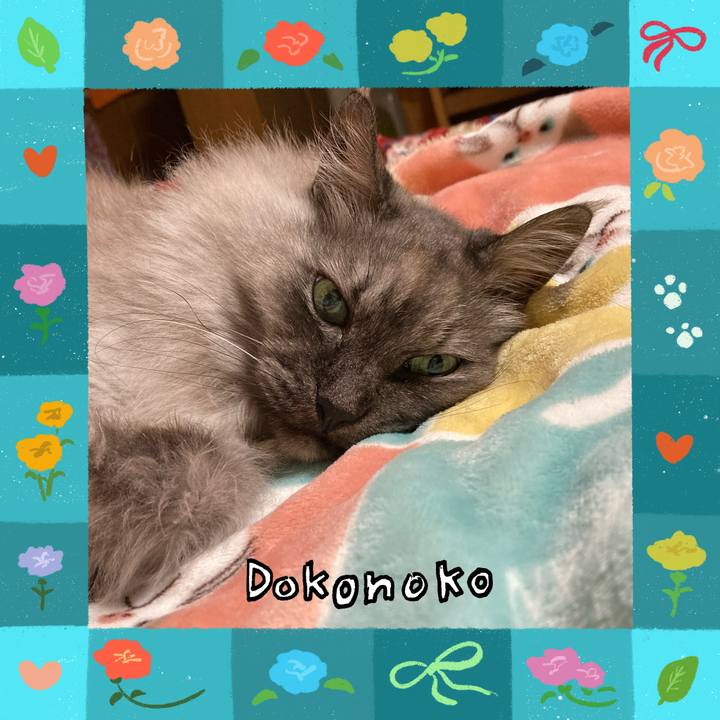 2eeb76d7 c529 4e2e bc99 23f45db07f37 1715450436263