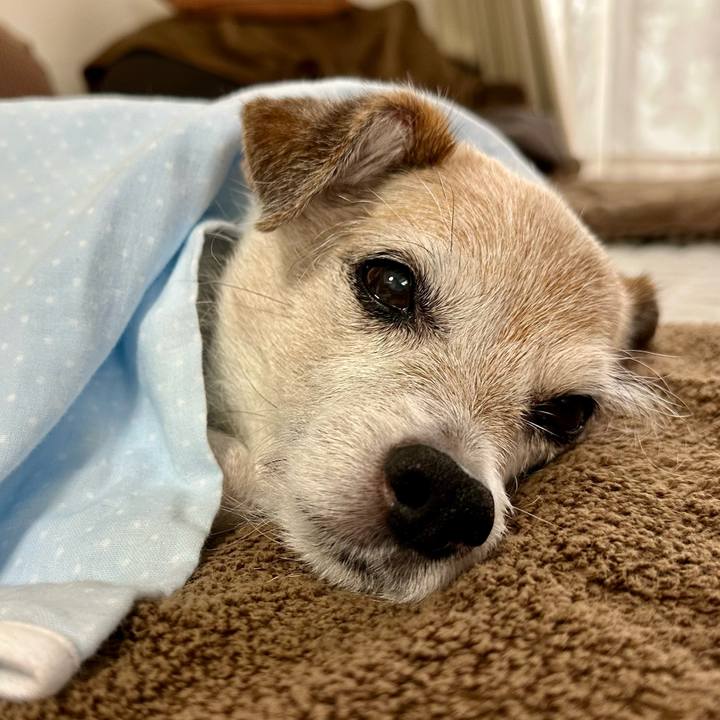 2eebac17 4a4e 49aa 94ca adedc4ec33ae 1731286523581