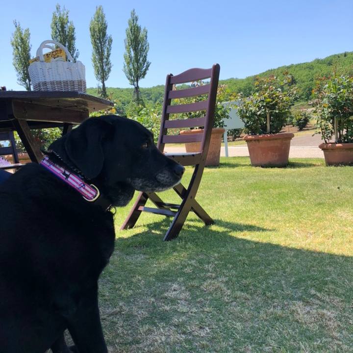 2eebb1ec 88cd 40e1 aadc e522a2a2029f 1558231733270