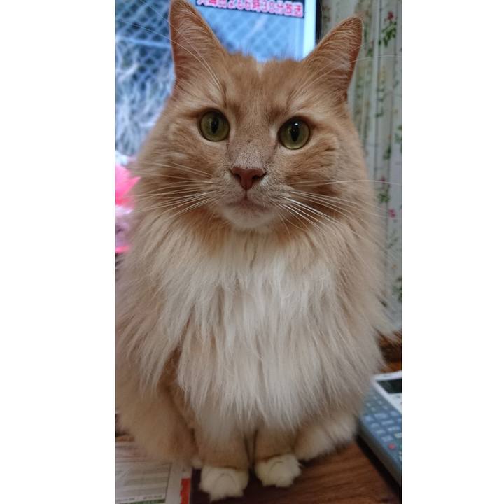 2eebc1fa ff0a 4026 afd5 e45520db93dc 1578617507416