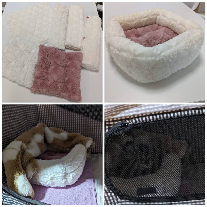 2eebcc98 81cc 4b54 a80e 3599880b4a69 1697773258193