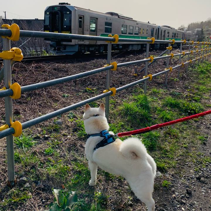 2eebcddf 1a4a 4d4b 9ecd 8e9df7e1890f 1682030141419