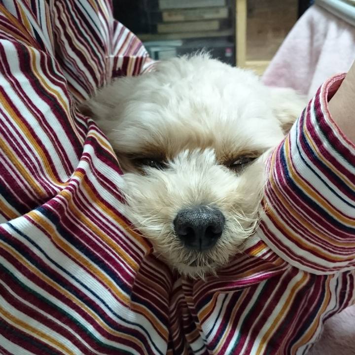 2eebdd57 881e 400a bfad 08500aa6a6ba 1509022533921