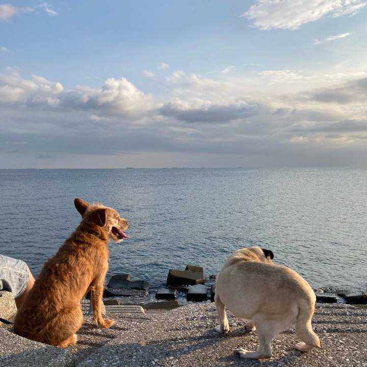 2eebee2f a7ec 4636 be22 5508c8dd2411 1624451441034