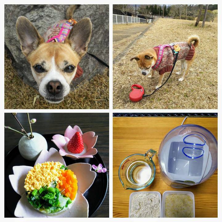 2eec1887 45a4 45b9 be92 fd8d5f57059c 1614496646818