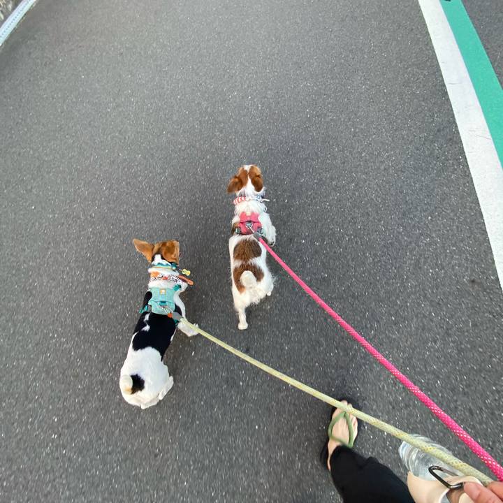 2eec57fc 1b88 420b a650 7bd580668e4d 1753739075272