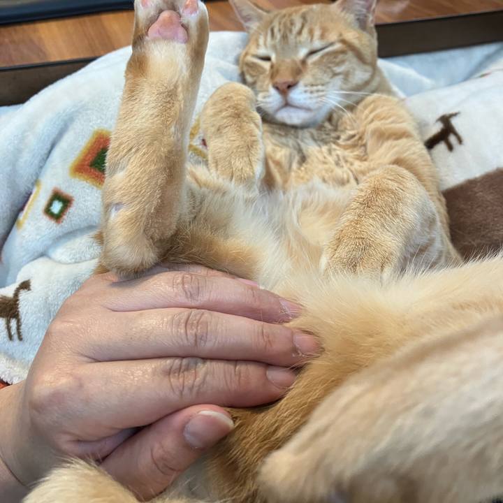 2eec5cdd b396 47bd 950b 6457b0cc87f9 1773626146413