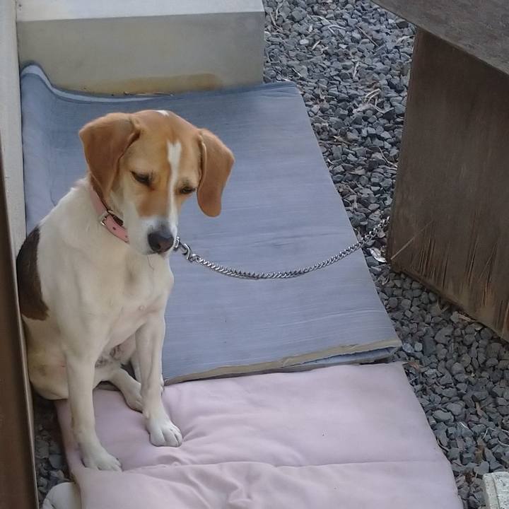 2eec8e56 a74a 4ed5 bc76 2259d06b48d5 1589704285076