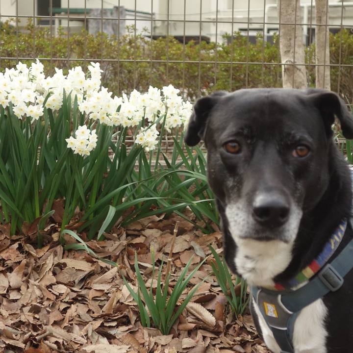 2eec9975 a880 4593 8d74 0efe011078c7 1711239716801