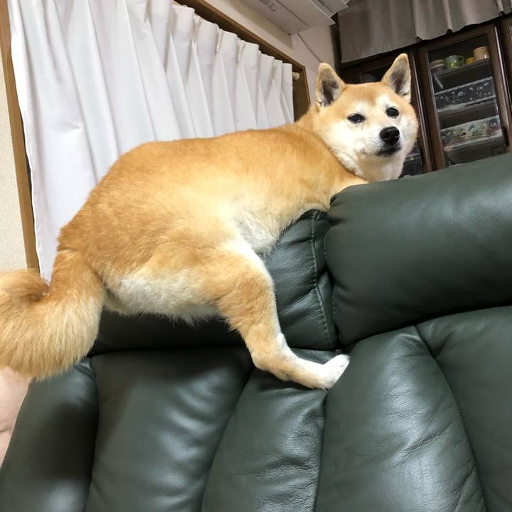 2eecd329 8431 4740 9e6b b6c31d02594d 1594987271909