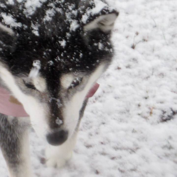 2eece647 806d 4070 ae45 b6b6028e0ed6 1736905894480