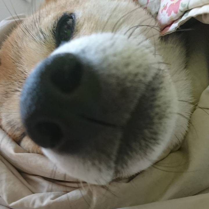 2eecf294 3a30 4cfa 98d8 3ad4b95e97b7 1519432362751