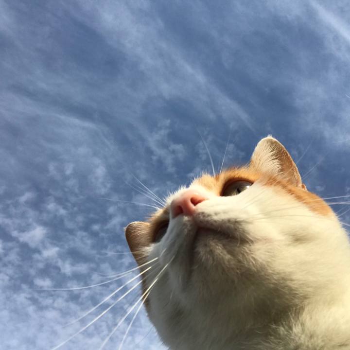 2eecff72 6f40 4de8 8828 1c2f3768374f 1509577172329