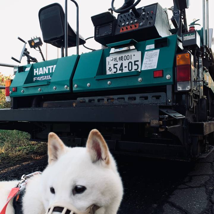 2eed2d41 85f8 49cd 8129 c08f59507e80 1635027845846