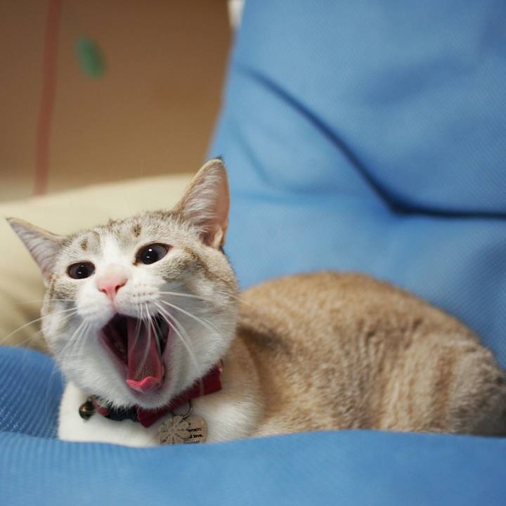 2eed336a e9ec 444a bfa9 0f2be4254c9c 1523534553056