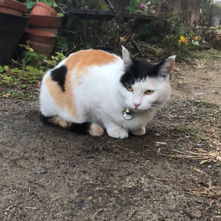 2eedfb23 891e 4950 a749 3f72352bc137 1612563652559