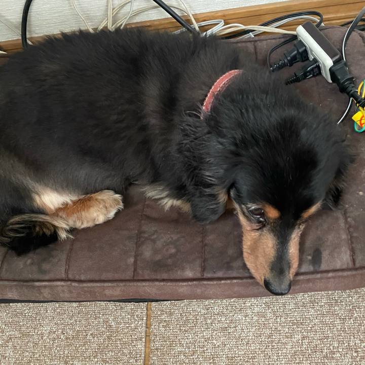 2eee1c59 1c82 4dfd 93b1 7b01dbfa2067 1620683997496