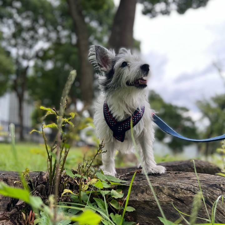 2eee2fe5 c36b 4a91 a173 942da017db08 1665316842141