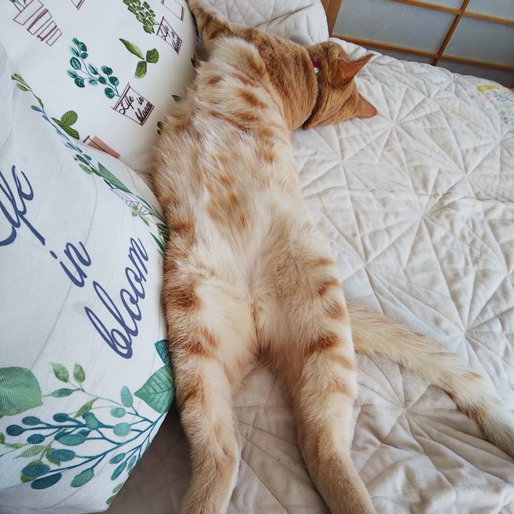 2eee35cc 2df9 4086 a001 74cbdfdee8d3 1558156666206