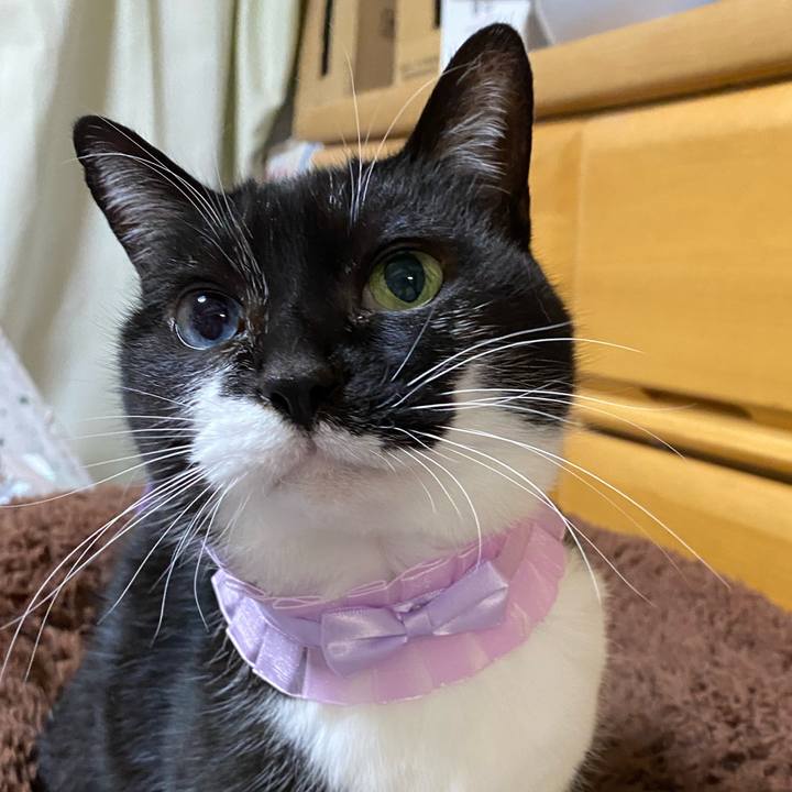 2eee3e15 0ad4 4d7c 854c 1a3d8abfcbea 1706444568713