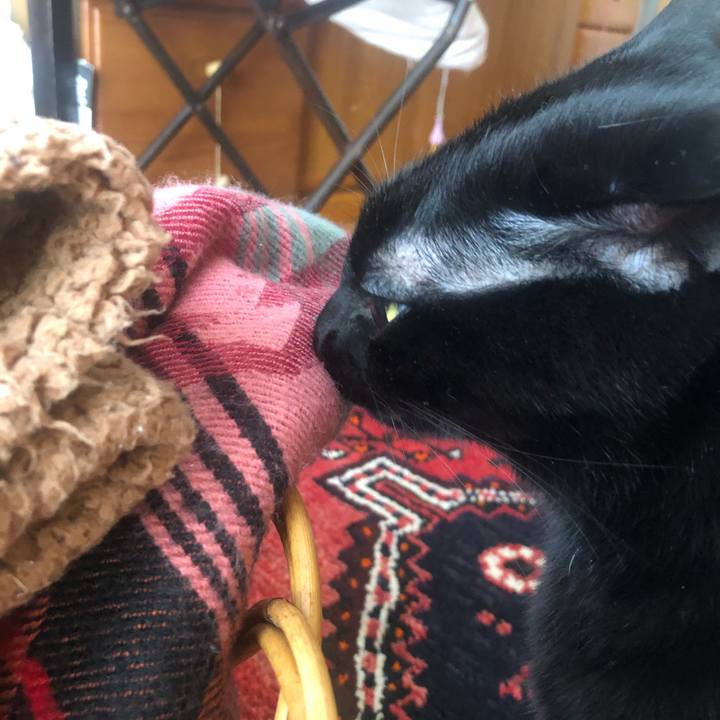 2eee5352 05ae 46af a3d7 1422f3e90442 1584865477893