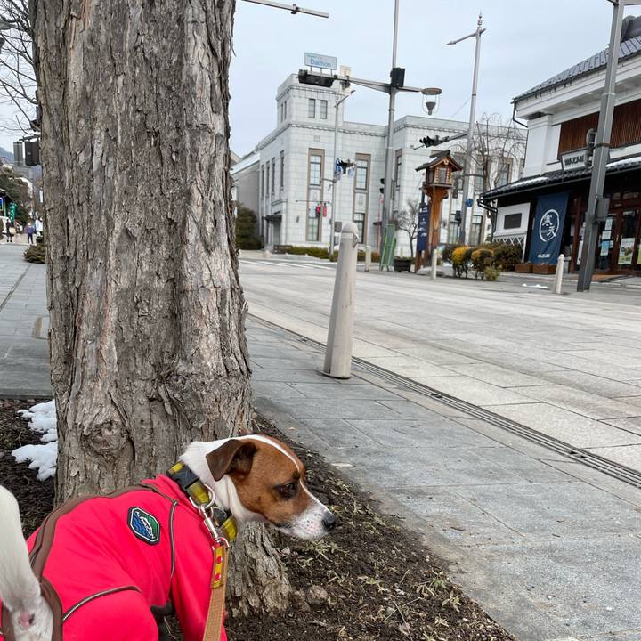 2eee6991 a795 48ef 94de 243eebf5fa51 1644729190510