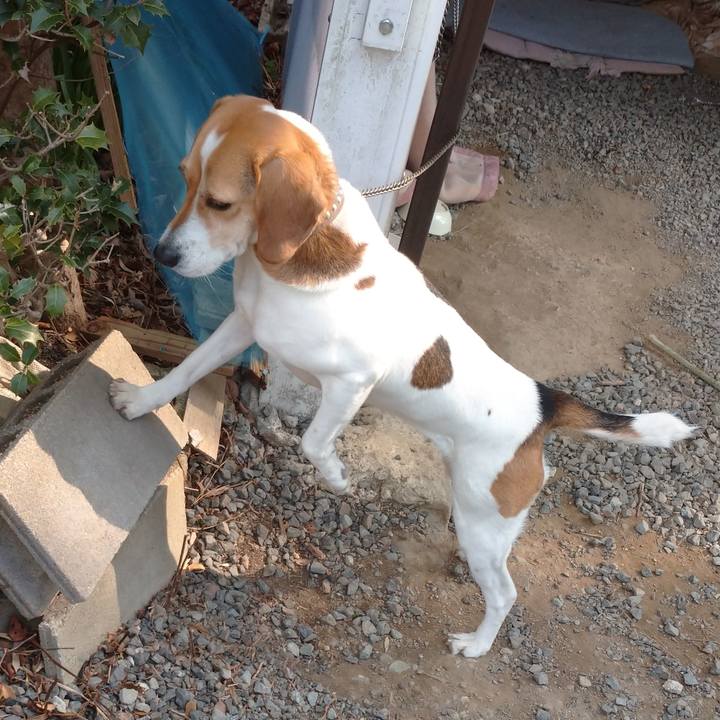 2eee8216 0369 40d3 9928 0e44a4234d6b 1612675824228