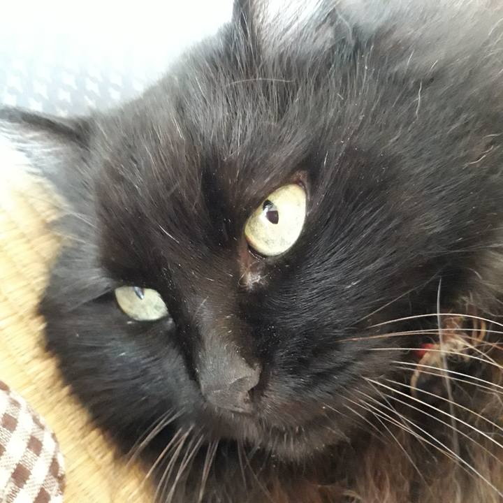 2eee9a50 72fc 4524 bea2 3311b74bbbe2 1530332690662