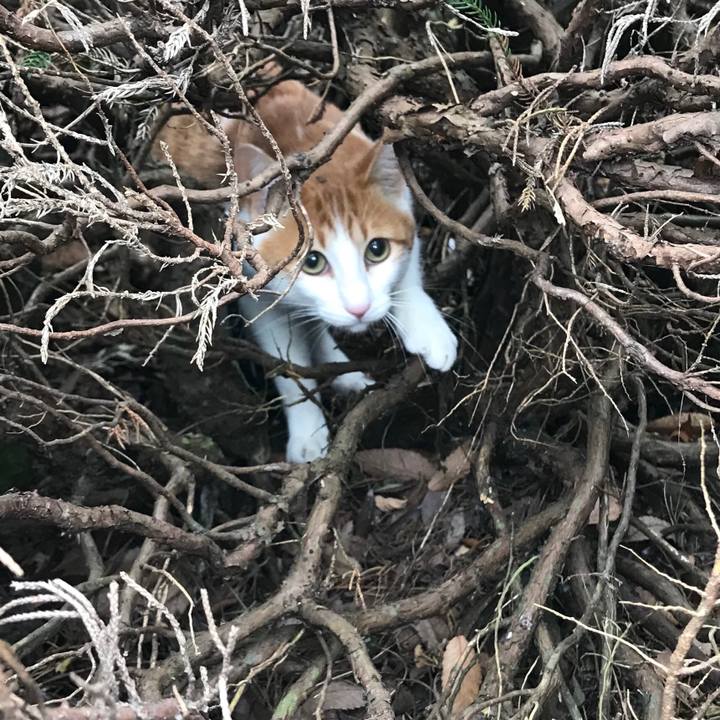 2eef0ada b35d 4e47 bbed b3ae7e5a75b9 1514081937906