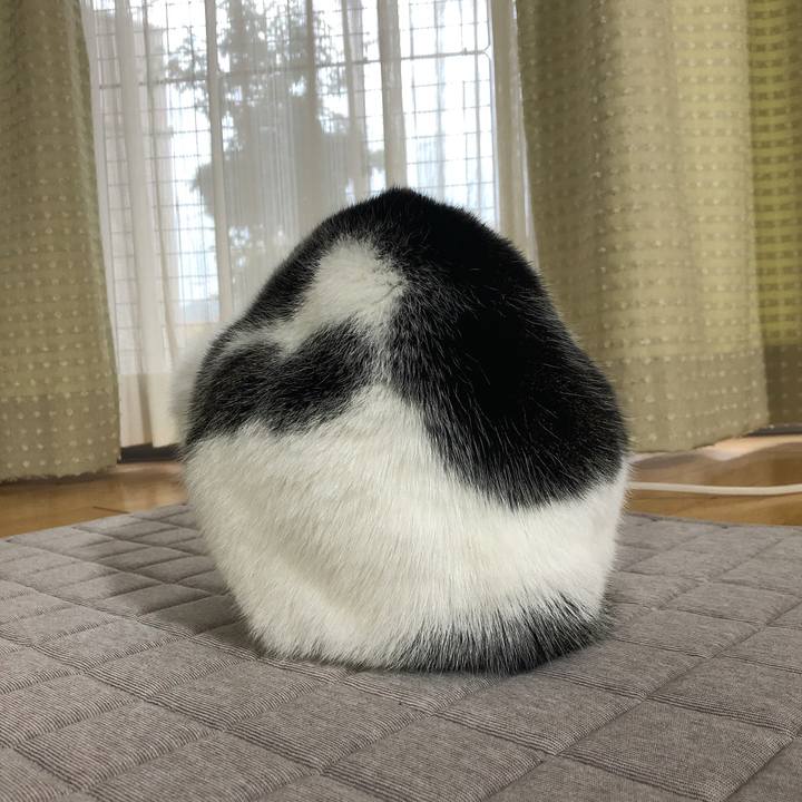 2eef1587 af2d 432a 8ab4 d0cec8329aa4 1635976301987