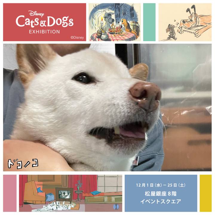 2eef360f d0fb 40e1 8af4 bd3e7ca92943 1638375525988