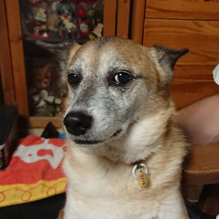 2eef37f1 5281 41f8 ad30 6d7f02ac8d5b 1563539637330