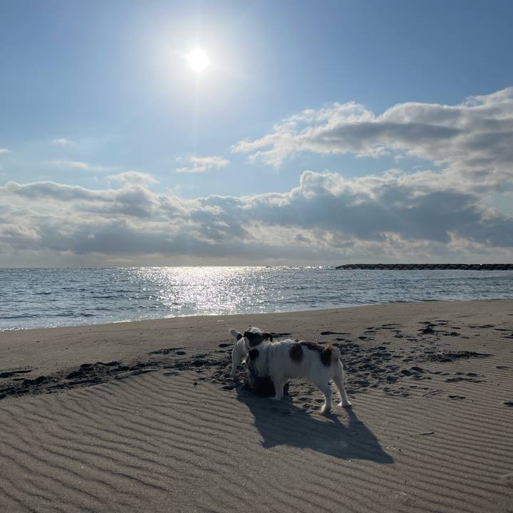 2eef75b3 251e 4beb ba86 267488db8c9f 1683538848066