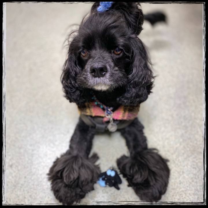 2eef877e ce8f 4970 a378 2eeb20fd8c76 1578809631037