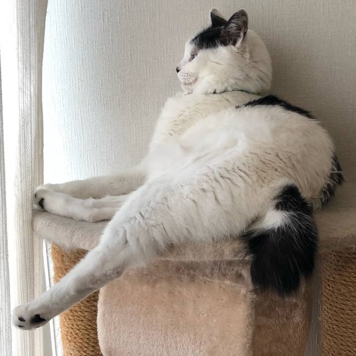 2eef9c31 fb09 4242 9170 1972df99c19e 1536275994666