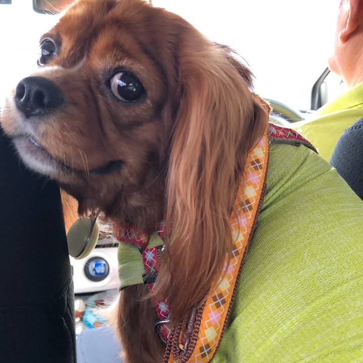 2eefc555 3401 44ad be2e 9d5594433ee3 1600899065789