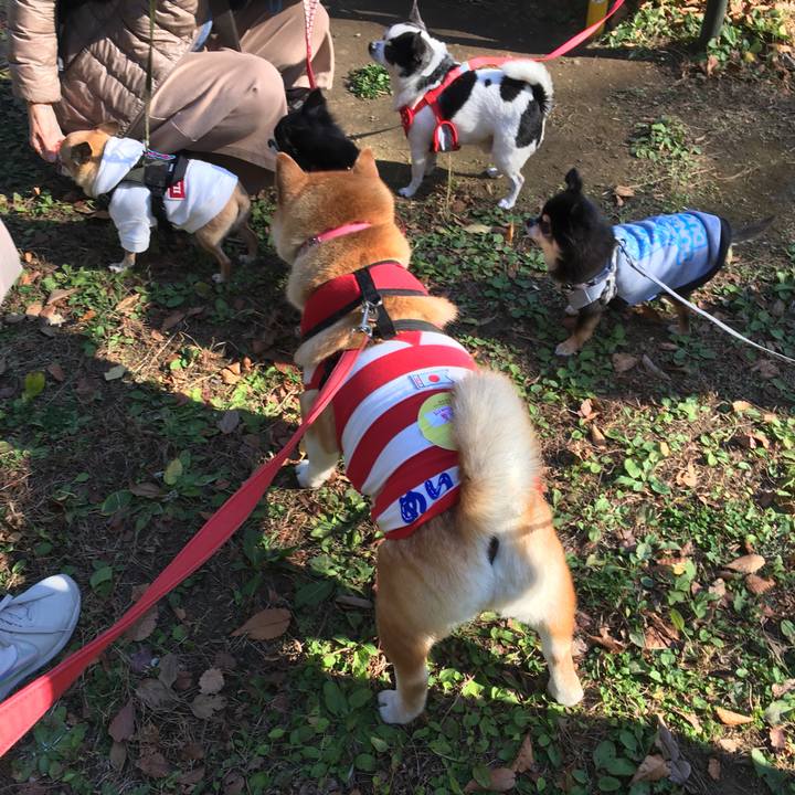 2eefcb5b e99c 4f0b b9b9 cca3bfbc5aca 1606545391124