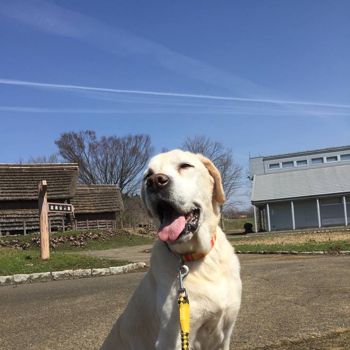 2ef03285 6866 4111 9a24 1ee3b37385ab 1523330668452