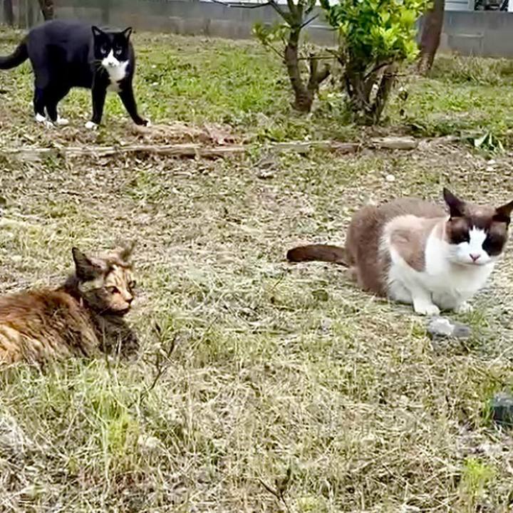 2ef0617c e039 445a 807c a94ec5699e4f 1748483868971