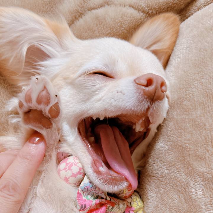 2ef06281 75e8 4f61 ada3 8e4b62b816ac 1668722412551