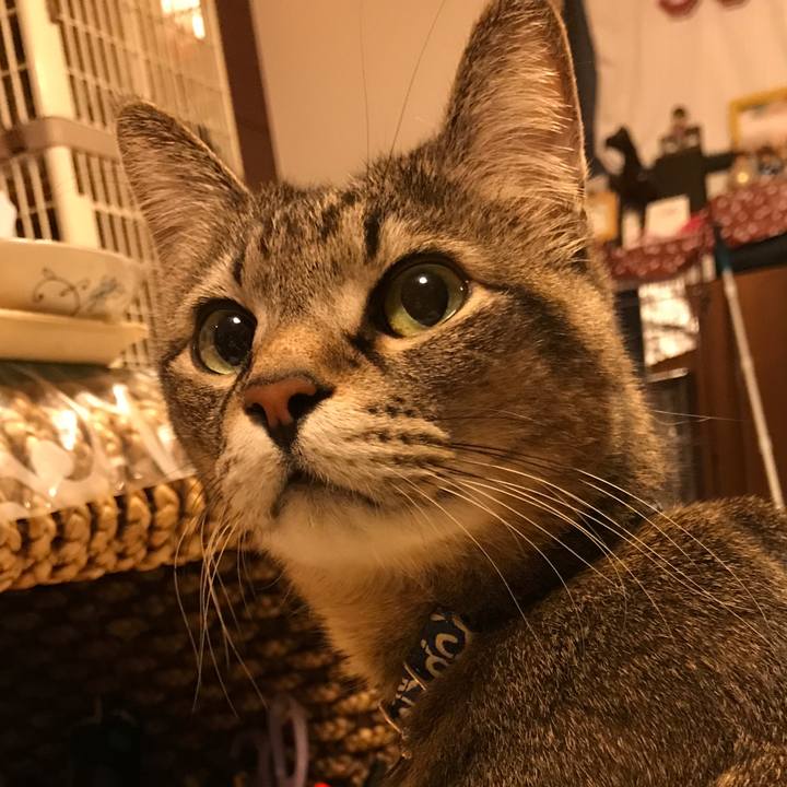 2ef062cc d13a 445d 9440 56a5bb410416 1519904305455