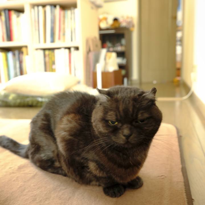 2ef0b882 3cca 49c4 a114 4f8704f389c3 1641437547151