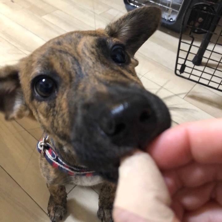 2ef0d6a8 95e1 448f 942d 79167fc8c6a3 1568372647663